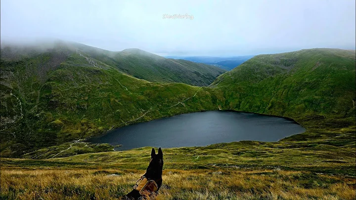 WHO HAS LISTENED AND WHO IS TAKING ACTION ?