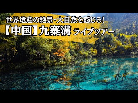 hqdefault.jpg?v=66336159