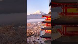 Day-14 KintSUNGI Japnese Art #shorts #millionairemindset