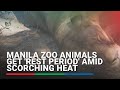 Manila Zoo animals get &#39;rest period&#39; amid scorching heat | ABS-CBN News