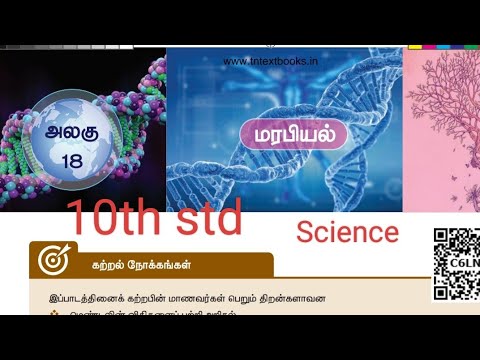 18. மரபியல்(book back exercise)/வகுப்பு-10/அறிவியல்