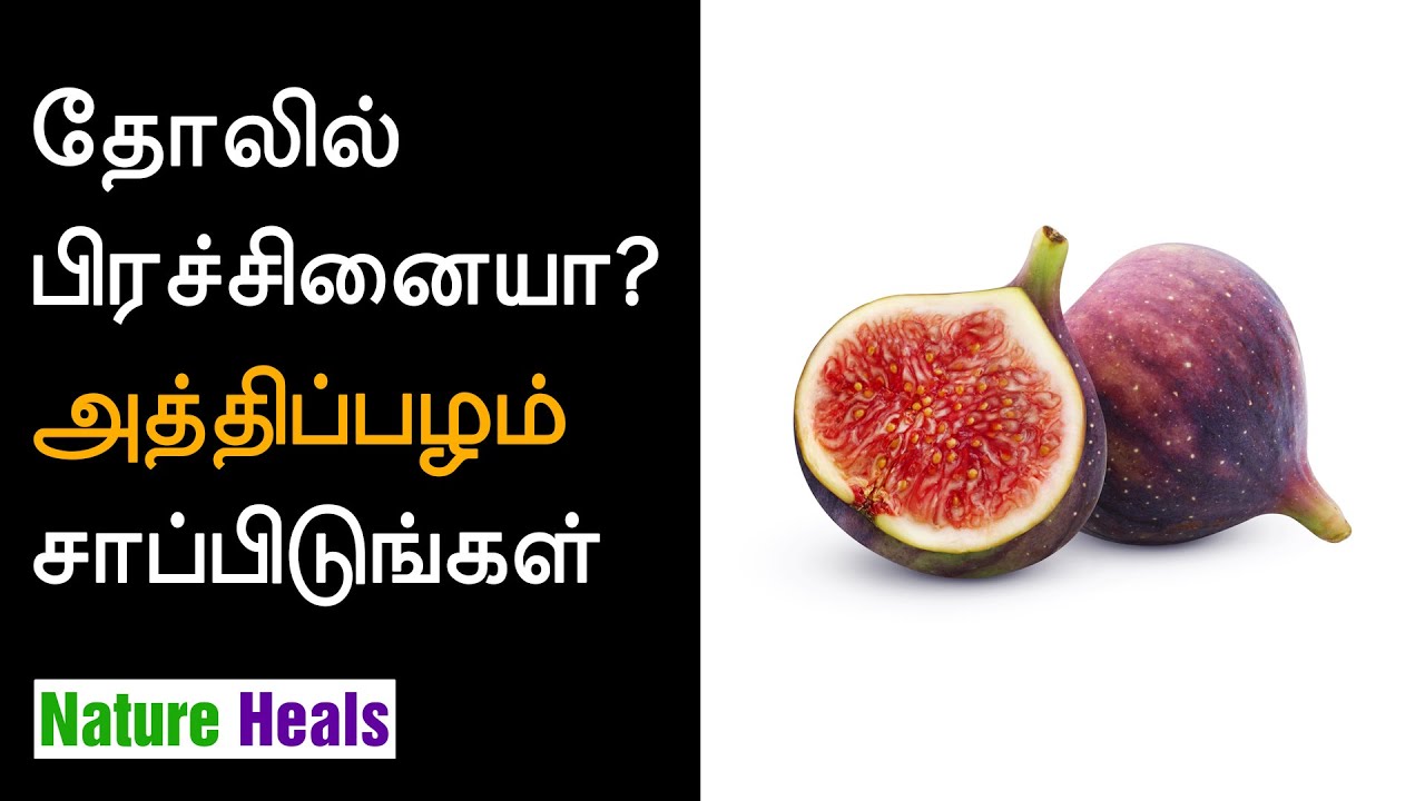 தோல் வியாதிகள் மற்றும் மலச்சிக்கல் தீர்க்கும் அத்திப்பழம் Fig Fruit