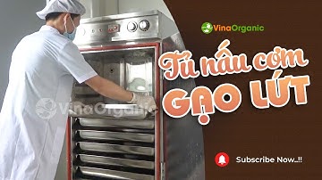 Tủ nấu cơm gạo lứt công nghiệp 10 khay inox 304 VinaOrganic