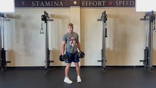 DB AEL VERTICAL JUMP