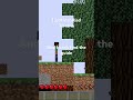 Terraria IS 2D Minecraft