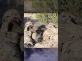 US Soldiers Push Machine Gun Skills to the Limit #shorts #military