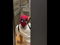 Look who I bumped into in the elevator today when I went out