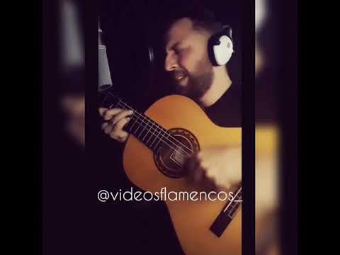 Rubio de Pruna