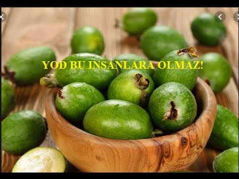 Video: Ekzotik və sağlam feyxoa meyvəsi