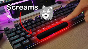 How to make Keyboard Scream every time u press Spacebar
