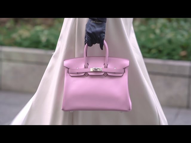 Hermès Unboxing  Birkin 25 Mauve Sylvestre 