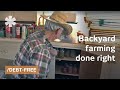 Backyard farmers by necessity: self-sufficient & debt-free