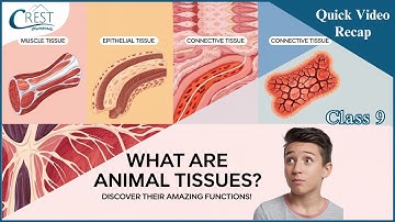 Class 9 | Animal Tissues | Science Olympiad | CREST Olympiads
