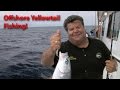 Chief, Offshore Fishing for Yellowtail | SPORT FISHING