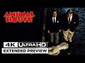 National lampoons animal house  4k ultra  kent and larry rush the omega and delta fraternities