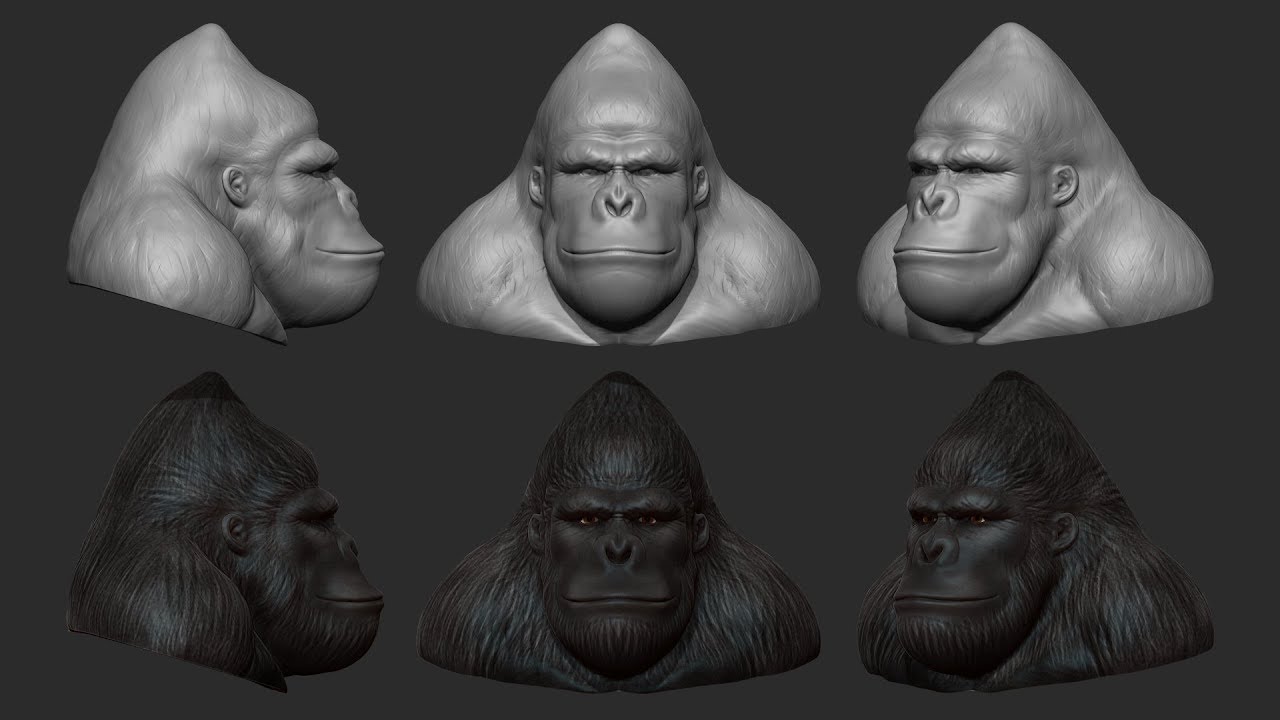 Горилла Zbrush