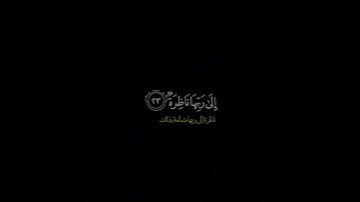كلا بل تحبون العاجلة وتذرون الآخرة/ القارئ ياسر الدوسري #قرآن