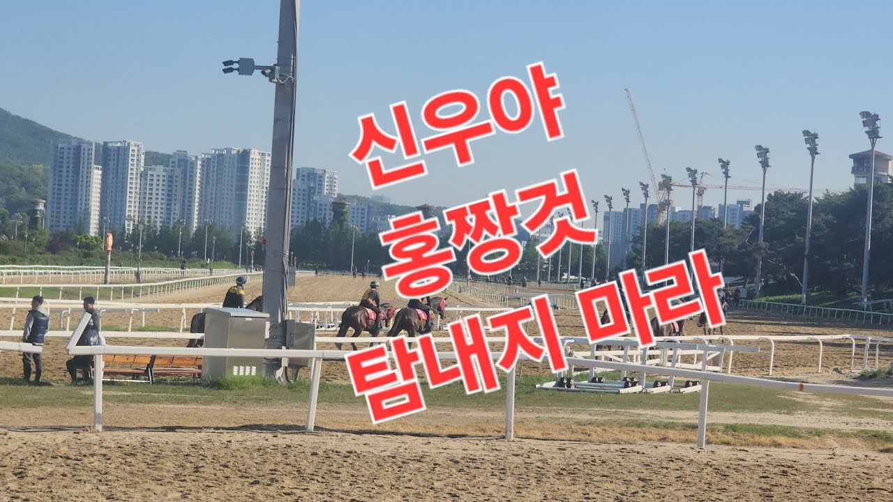 이신우야 홍짱것 탐내지 마라?
