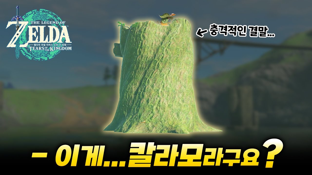 왕눈에서 칼라모는 어떻게 됐을까? [젤다 왕눈 예능 플레이]