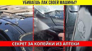 Как мойка уничтожает лак, секрет из аптеки против птичьего помета, керамика не спасает