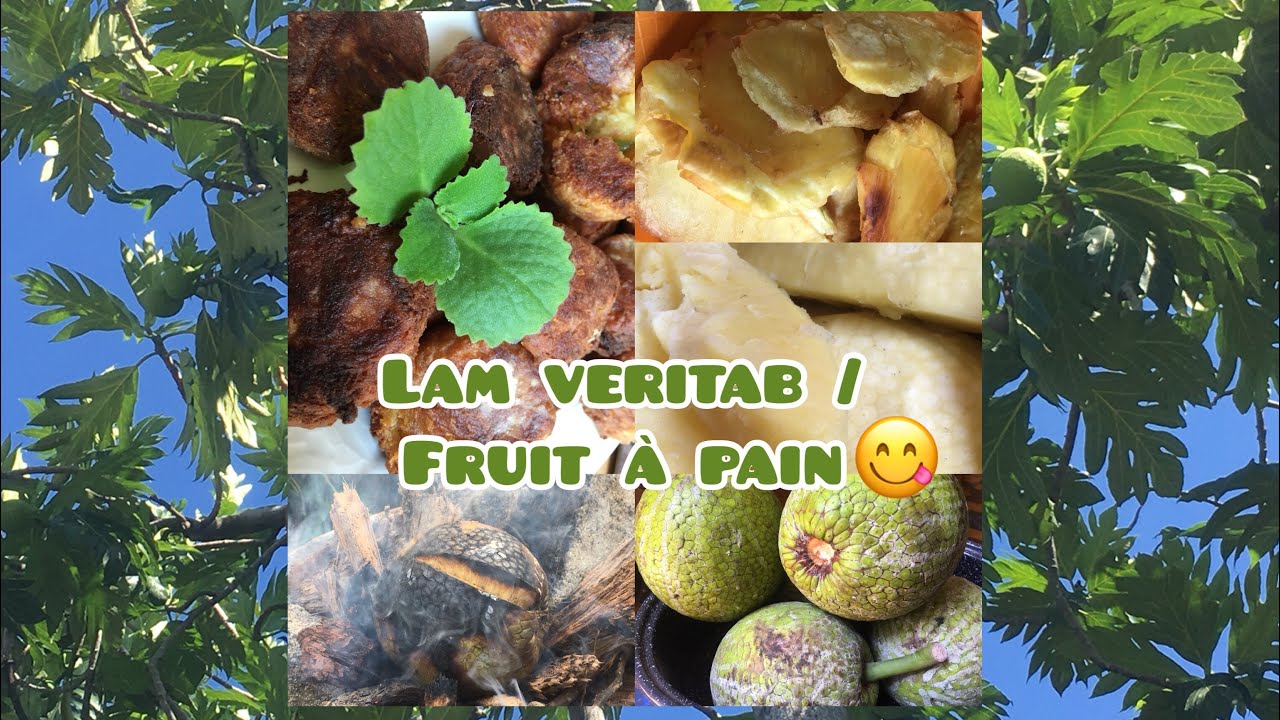 Fruit de l’arbre à pain / Tout sa ou ka fè ak lam veritab - YouTube