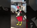 Silly Goose is coming to you as Santa