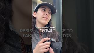 Avoiding eye contact with the tulips is ke- oops, I failed Avoiding eye contact with the tulips is ke- oops, I failed