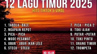 Best Lagu Timur 2025 | Hits & Viral Tiktok Terbaru Tanpa Iklan