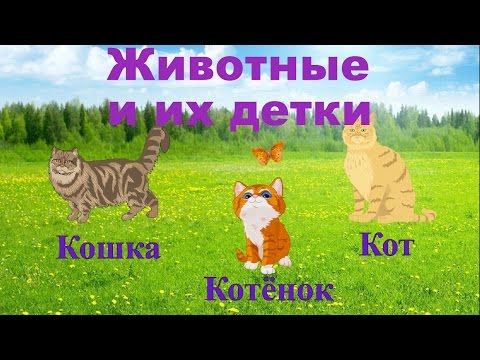 Животные и их детки. Развивающий мультик для детей. Животные и их детки. Развивающий мультик для детей.