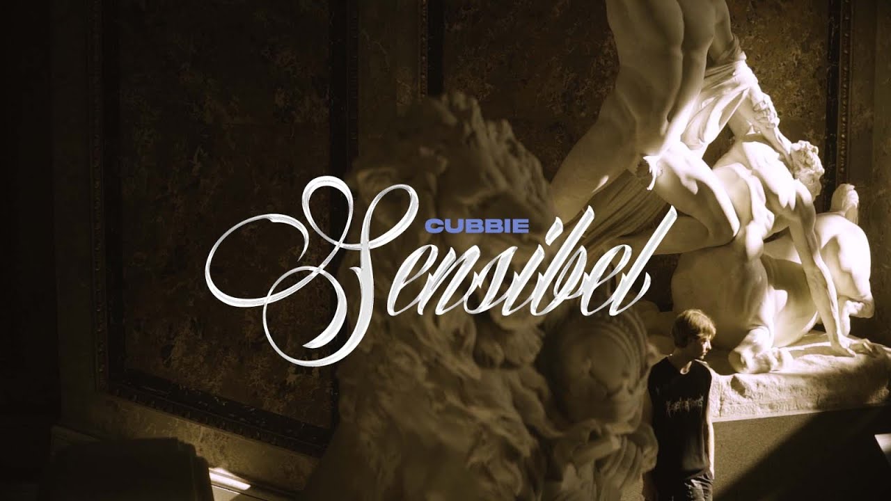 Sierra Kidd - Sensibel (prod. by Gunboi) unofficial video