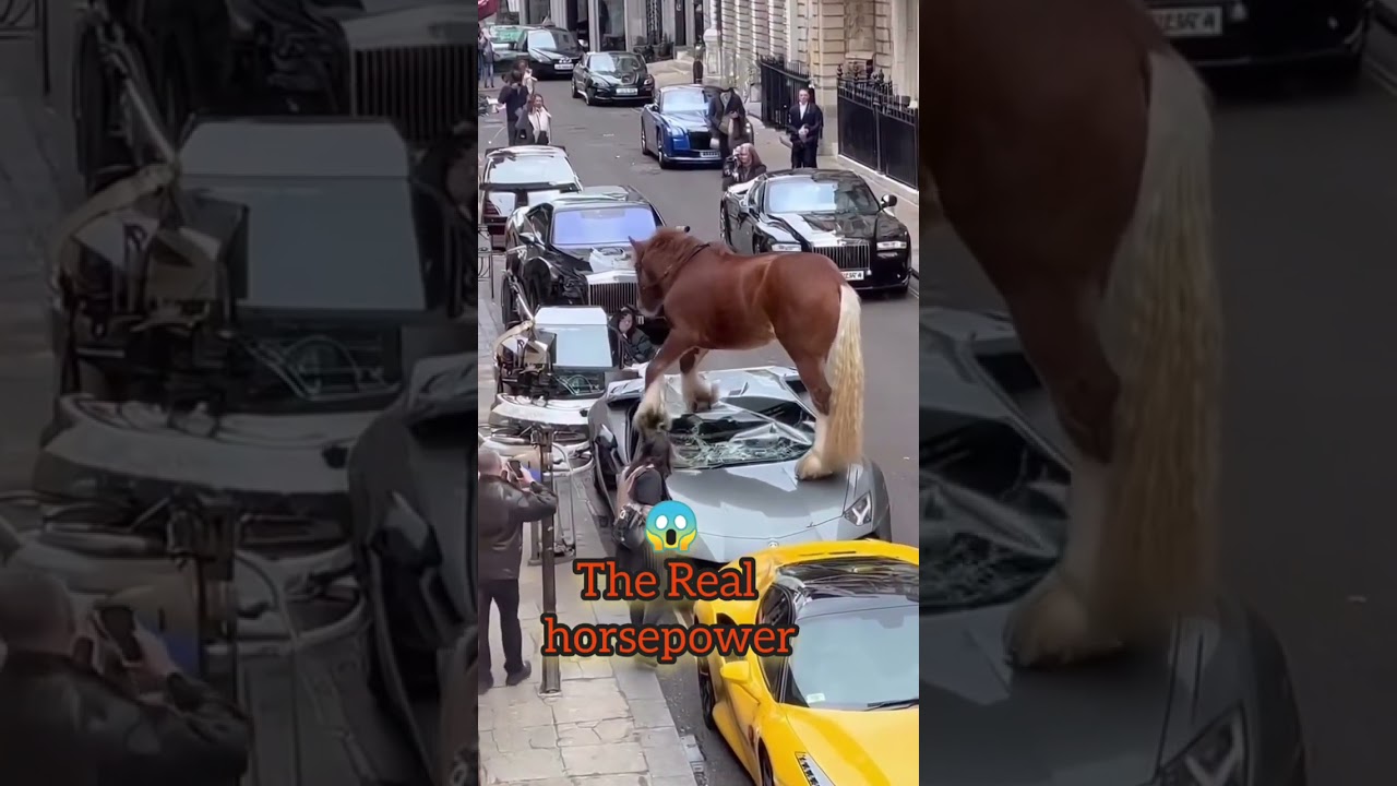 🐎 Horsepower Havoc: Rampaging Horse Damages Cars with Horse Logo 