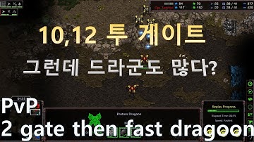[Eng Sub] [PvP 10/12 Two gate] You can not only do zealot push but also have many goons.