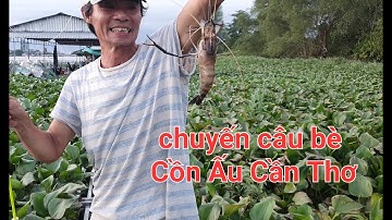Một ngày câu tôm,cá trên bè ( Cồn Ấu Cần Thơ )