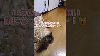お風呂、入れる？😆