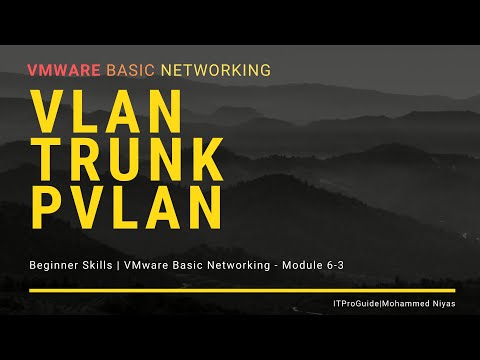 VMware Basic Networking Distributed Switch | VLAN, TRUNK, PVLAN Module 6-3