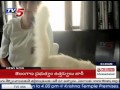 Sania models for Peta ad