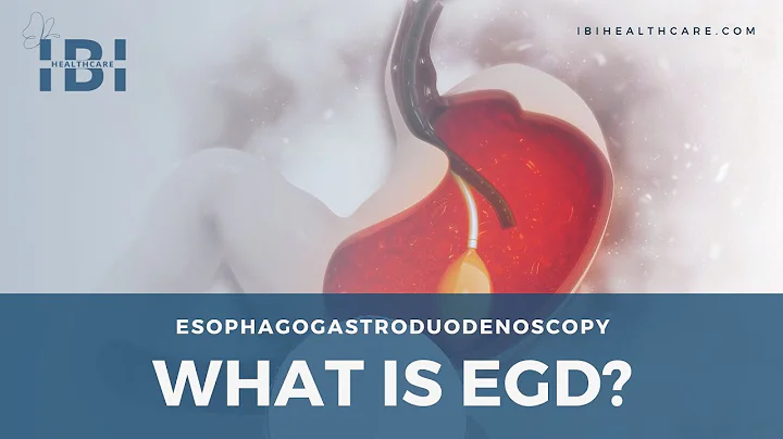Animation What Is an EGD Procedure?