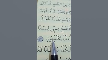 سورة القصص الأية 34 إلى 35 القارئ سعد الغامدي