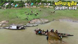 নেত্রকোনার খালিয়াজুরীর রোয়াইল হাওরের জীবনধারা | Haor Life | Panorama Documentary Guía