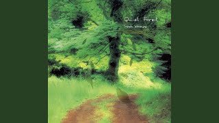 Quiet Forest - YouTube