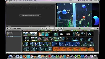 Selecting and adding clips to your iMovie project