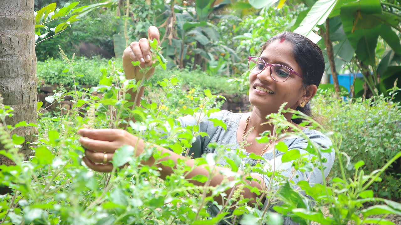തുളസി കൊണ്ട് ഇങ്ങനെയൊക്കെ ഉണ്ടാക്കാമായിരുന്നോ? | Thulasi Herbal Soap | Cheerulli Media
