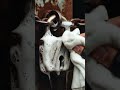 “This Rusted Lock Finally Opened… 😳”