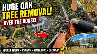 HUGE Oak Tree Removal Over A House! 😳🌳