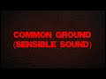 Kev the rev  common ground sensible sound