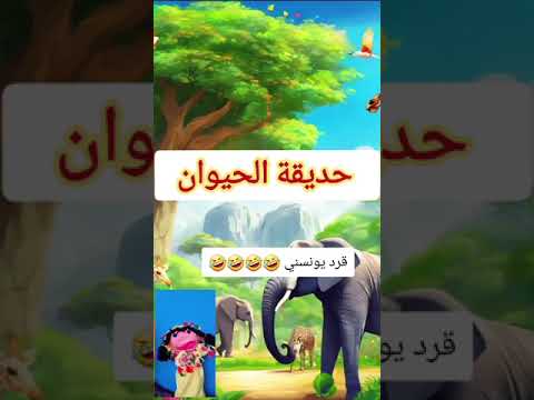 قرد يونسني وانا لوحدي