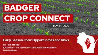 Early Season Corn Opportunities and Risks