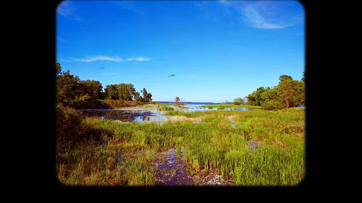 Summertime in Oswego