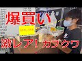 カブクワ【爆買い】激レア発見！