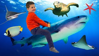 Caleb Visits the AQUARIUM, RIDES ON a SHARK, Touches STINGRAYS and FEEDS the TURTLES!!